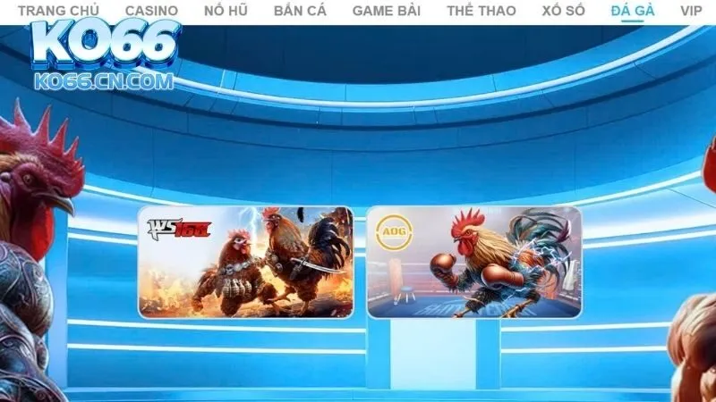 Tổng quan về đá gà KO66